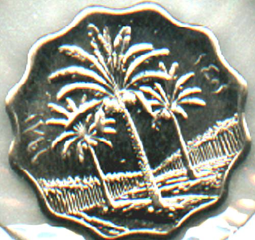 New-Coin-Aquisitions